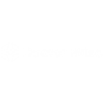 logo-doctor-wise